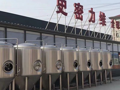 乌坡镇精酿啤酒设备厂—市场规模与跨界新需求